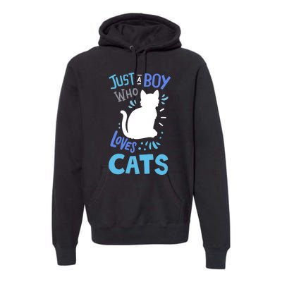 Kids Cat Just A Boy Who Loves Cats Gift For Cat Lovers TShirt Premium Hoodie