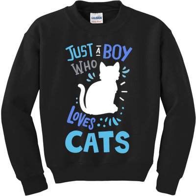 Kids Cat Just A Boy Who Loves Cats Gift For Cat Lovers TShirt Kids Sweatshirt