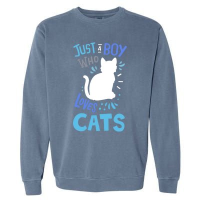 Kids Cat Just A Boy Who Loves Cats Gift For Cat Lovers TShirt Garment-Dyed Sweatshirt