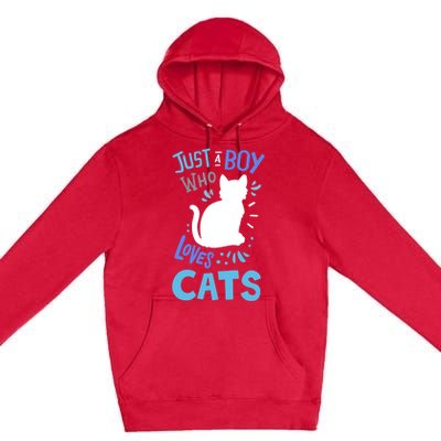 Kids Cat Just A Boy Who Loves Cats Gift For Cat Lovers TShirt Premium Pullover Hoodie