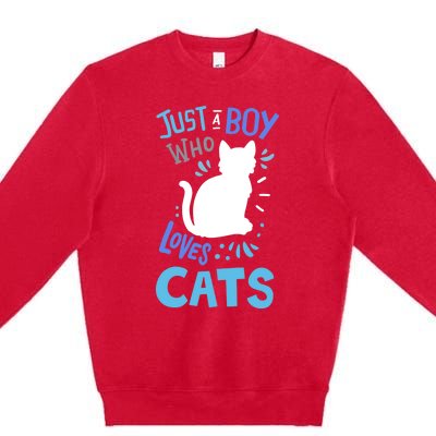 Kids Cat Just A Boy Who Loves Cats Gift For Cat Lovers TShirt Premium Crewneck Sweatshirt