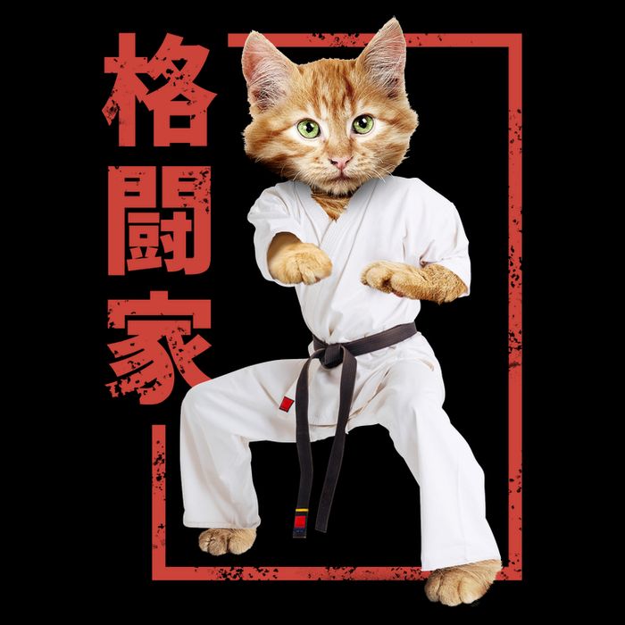 Karate Cat Cooling Performance Crew T-Shirt