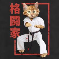 Karate Cat Adult Drive Performance Visor