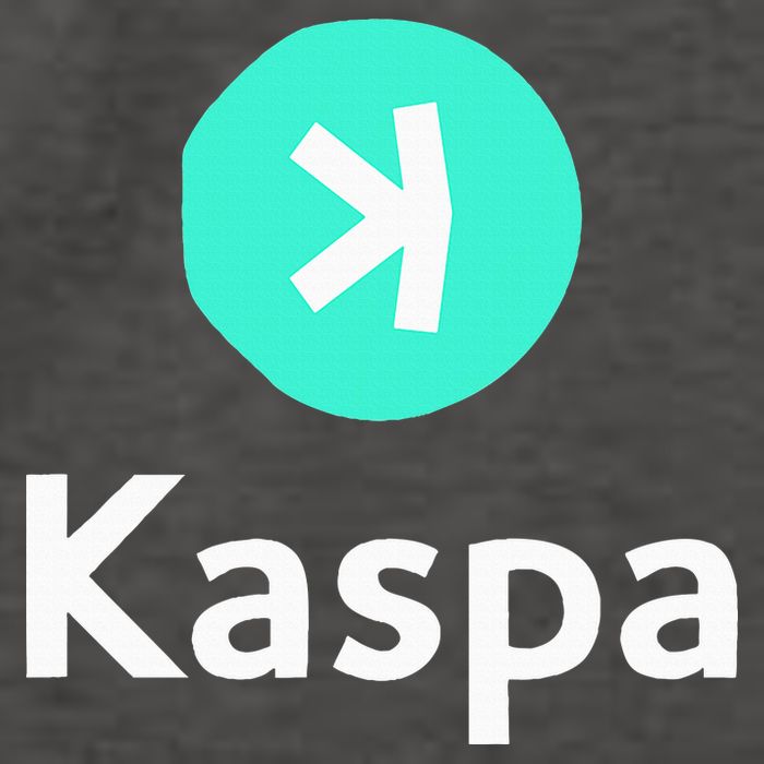 Kaspa Crypto Kaspa Vector Backpack