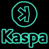 Kaspa Crypto Kaspa Merch Kaspa Gifts Kaspa Miner Kaspa Mining Kaspa Crypto Merch 16 in Basic Backpack