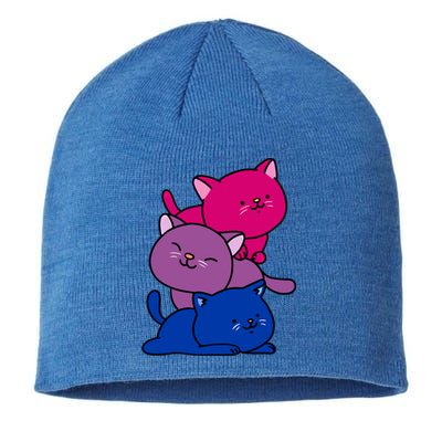 Kawaii Cat Pile Bisexual Pride Flag Cute Gift Sustainable Beanie