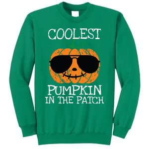 Kids Coolest Pumpkin In The Patch Halloween Boy Girls Teens 7042 Sweatshirt