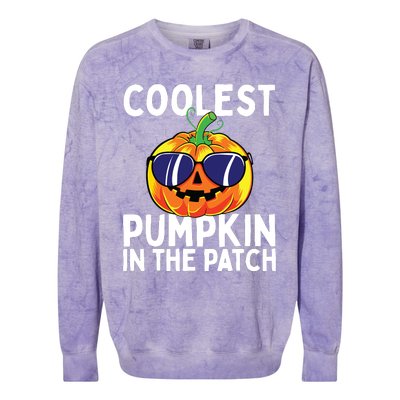 Kids Coolest Pumpkin In The Patch Halloween Boy Girls Teens Colorblast Crewneck Sweatshirt