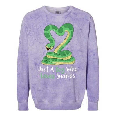 Kids Cute Snake | Boa Constrictor Colorblast Crewneck Sweatshirt