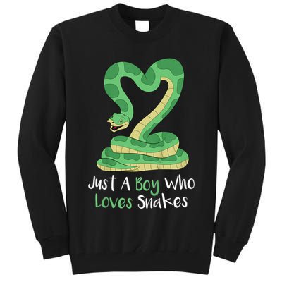 Kids Cute Snake | Boa Constrictor Tall Sweatshirt