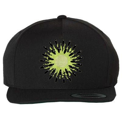 Kiwi Costume Tropical Fruit Lazy Halloween Costume Wool Snapback Cap