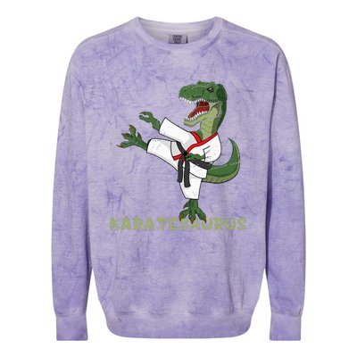 Karate Dinosaur Karatesaurus Trex Karatist Colorblast Crewneck Sweatshirt