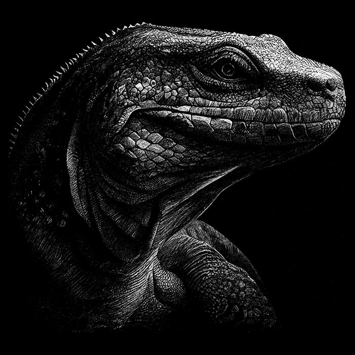Komodo Dragon Tall T-Shirt