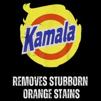 Kamala Detergent Removes Stubborn Orange Stains Antitrump Zip Tote Bag