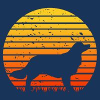 Kooikerhondje Dog Sunset Yellow Women's V-Neck T-Shirt