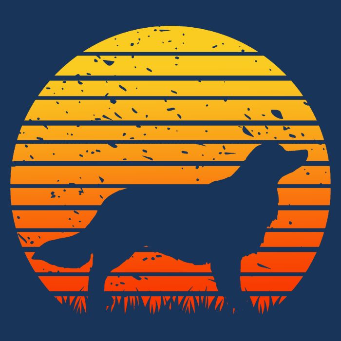Kooikerhondje Dog Sunset Yellow Women's V-Neck T-Shirt