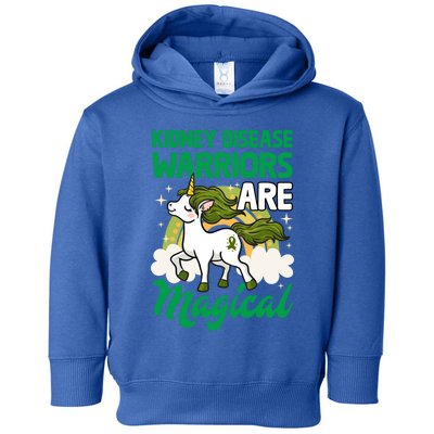 Kidney Disease Warriors Are Magical Unicorn Gift Toddler Hoodie