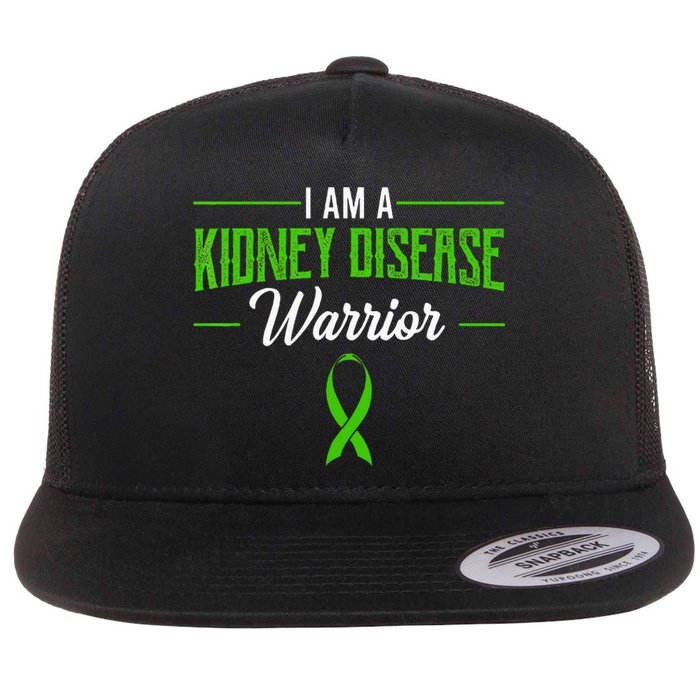 Kidney Disease Warrior Dialysis Nephritis Organ Donor Green Flat Bill Trucker Hat