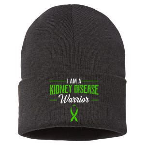 Kidney Disease Warrior Dialysis Nephritis Organ Donor Green Sustainable Knit Beanie