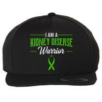 Kidney Disease Warrior Dialysis Nephritis Organ Donor Green Wool Snapback Cap