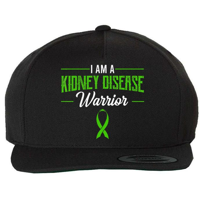 Kidney Disease Warrior Dialysis Nephritis Organ Donor Green Wool Snapback Cap