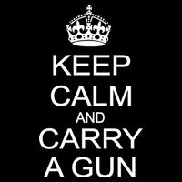 Keep Calm and Carry a Gun Visor