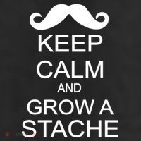 Keep Calm and Grow A Stache 11oz C Handle Ceramic Mug