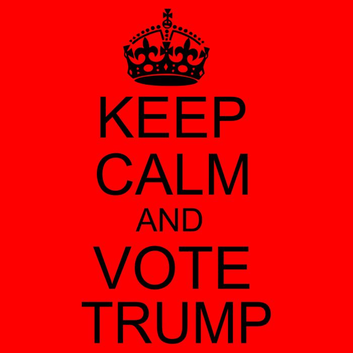 Keep Calm And Vote Trump Mug