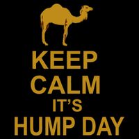 Keep calm, it's hump day Button