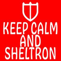 Keep Cam And Sheltron FF14 Paladin 16 in Basic Backpack