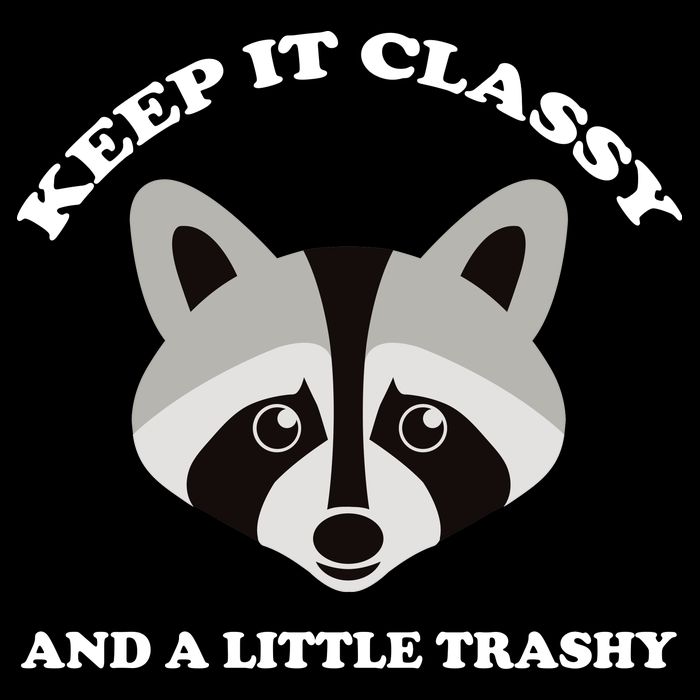 Keep It Classy And A Little Trashy USA-Made Doggie Bandana
