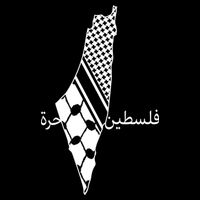 Keffiyeh Scarf Palestine Map Arabic Free Palestine Cooling Performance Crew T-Shirt