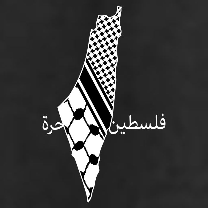 Keffiyeh Scarf Palestine Map Arabic Free Palestine 11oz C Handle Ceramic Mug