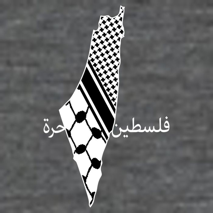 Keffiyeh Scarf Palestine Map Arabic Free Palestine 7 Panel Mesh Trucker Snapback Hat