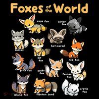 Kawaii Fox Animals Of The World Educational Animal Fox Lover T-Shirt