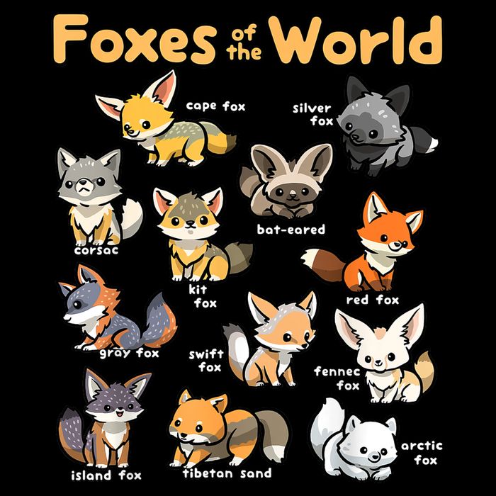 Kawaii Fox Animals Of The World Educational Animal Fox Lover Womens Tank Top