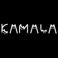 Kamala Funny Cat Ladies And Cat Guy Bucket Hat