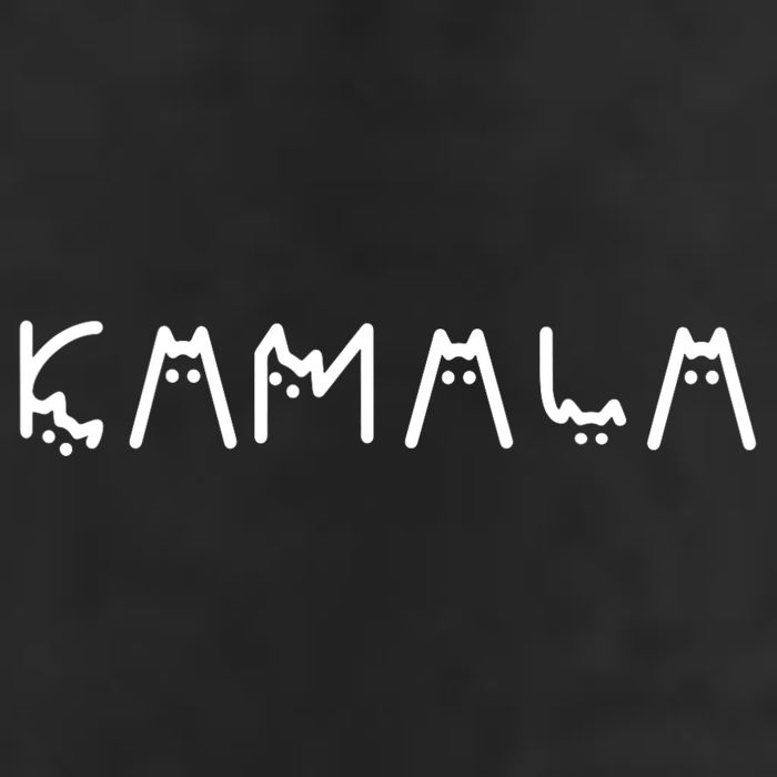 Kamala Funny Cat Ladies And Cat Guy Beanie