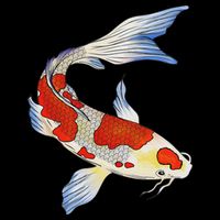 Koi Fish Funny Japanese Chinese Carp Breeder Women Gifts Drawstring Bag