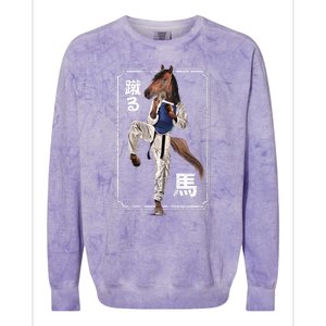 Kung Fu Horse Colorblast Crewneck Sweatshirt