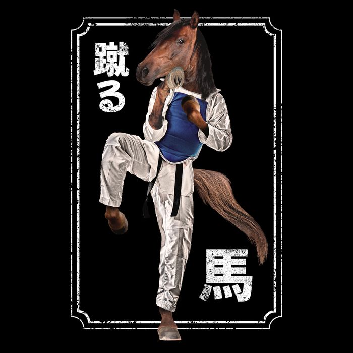Kung Fu Horse Impact Tech Backpack