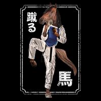 Kung Fu Horse Womens T-Shirt