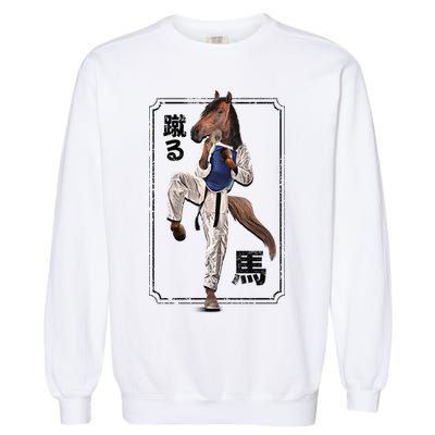 Kung Fu Horse Garment-Dyed Sweatshirt