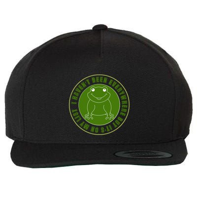 Kawaii Frog I Havent Been Everywhere But Its On My List Gift Wool Snapback Cap