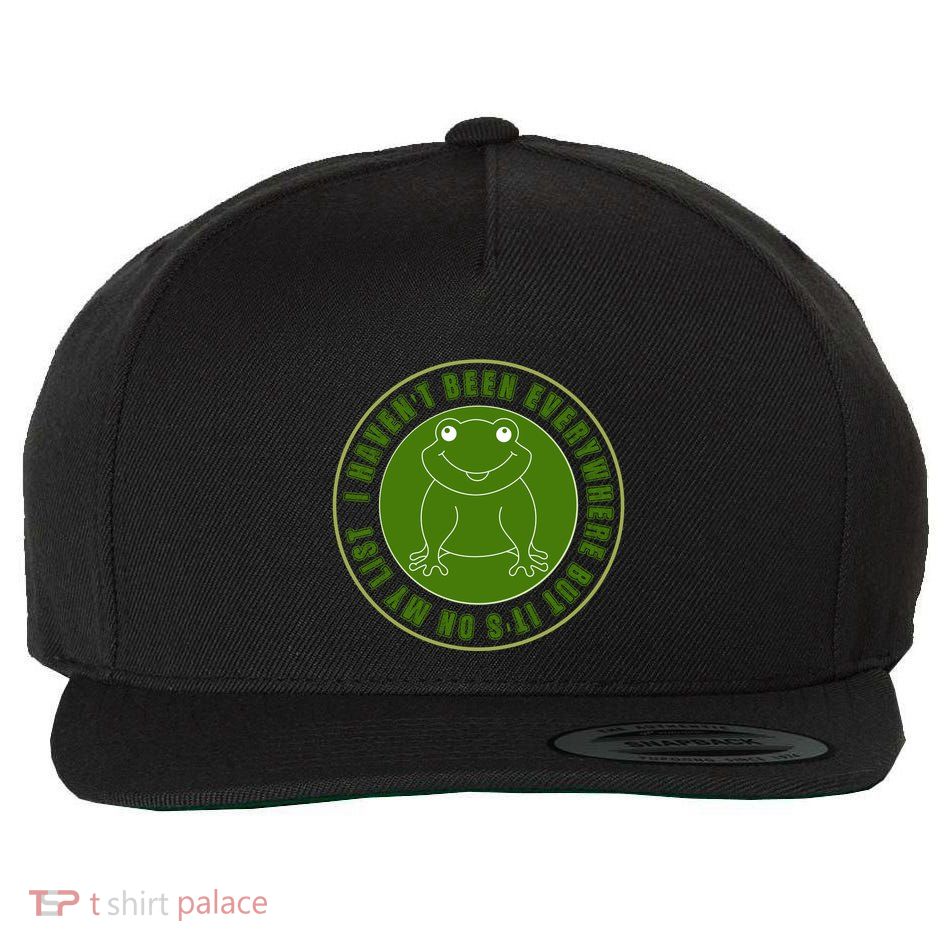 Kawaii Frog I Havent Been Everywhere But Its On My List Gift Wool Snapback Cap