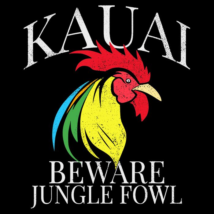 KAUAI FUNNY ROOSTER BEWARE JUNGLE FOWL VINTAGE HAWAII ISLAND Womens Tank Top