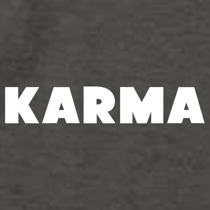 Karma Funny Sarcastic Vector Backpack