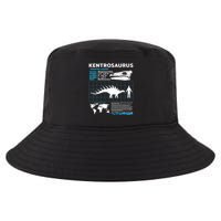 Kentrosaurus Fact Sheet Dinosaur Facts Cool Comfort Performance Bucket Hat
