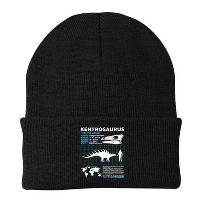 Kentrosaurus Fact Sheet Dinosaur Facts Beanie