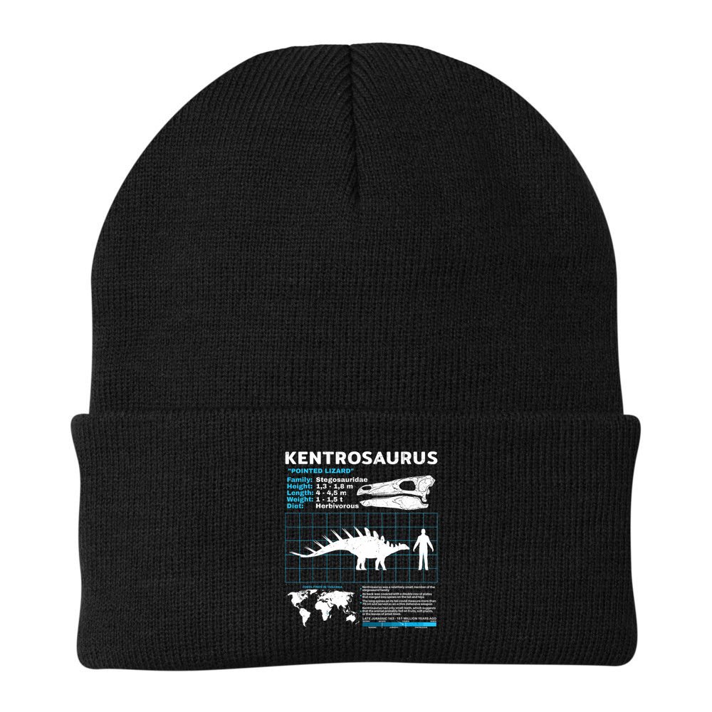 Kentrosaurus Fact Sheet Dinosaur Facts Beanie